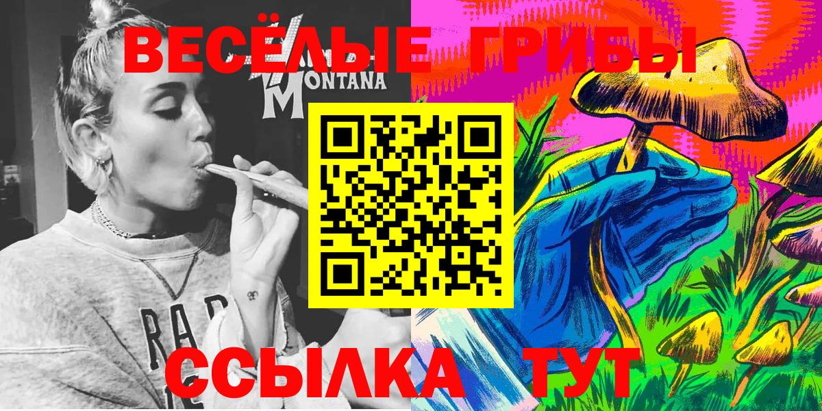 Александров  Галлюциногенные грибы Psilocybine cubensis  закладка  Вход с VPN 